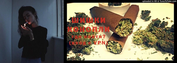 мяу мяу мука Баксан