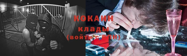 мяу мяу мука Баксан