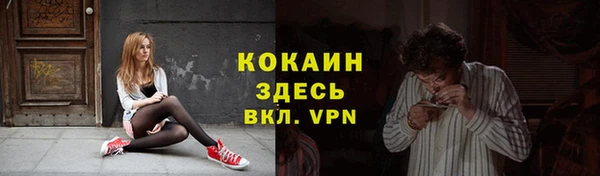 гидра Арсеньев
