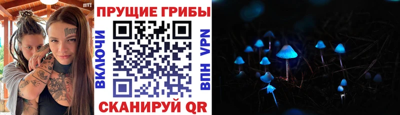 Галлюциногенные грибы MAGIC MUSHROOMS  купить закладку  Опочка 